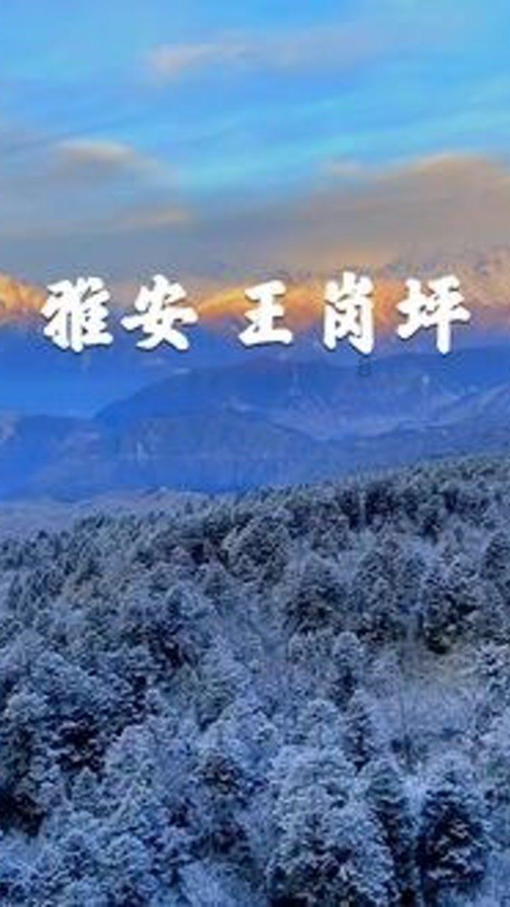 甄选会员的成长之旅